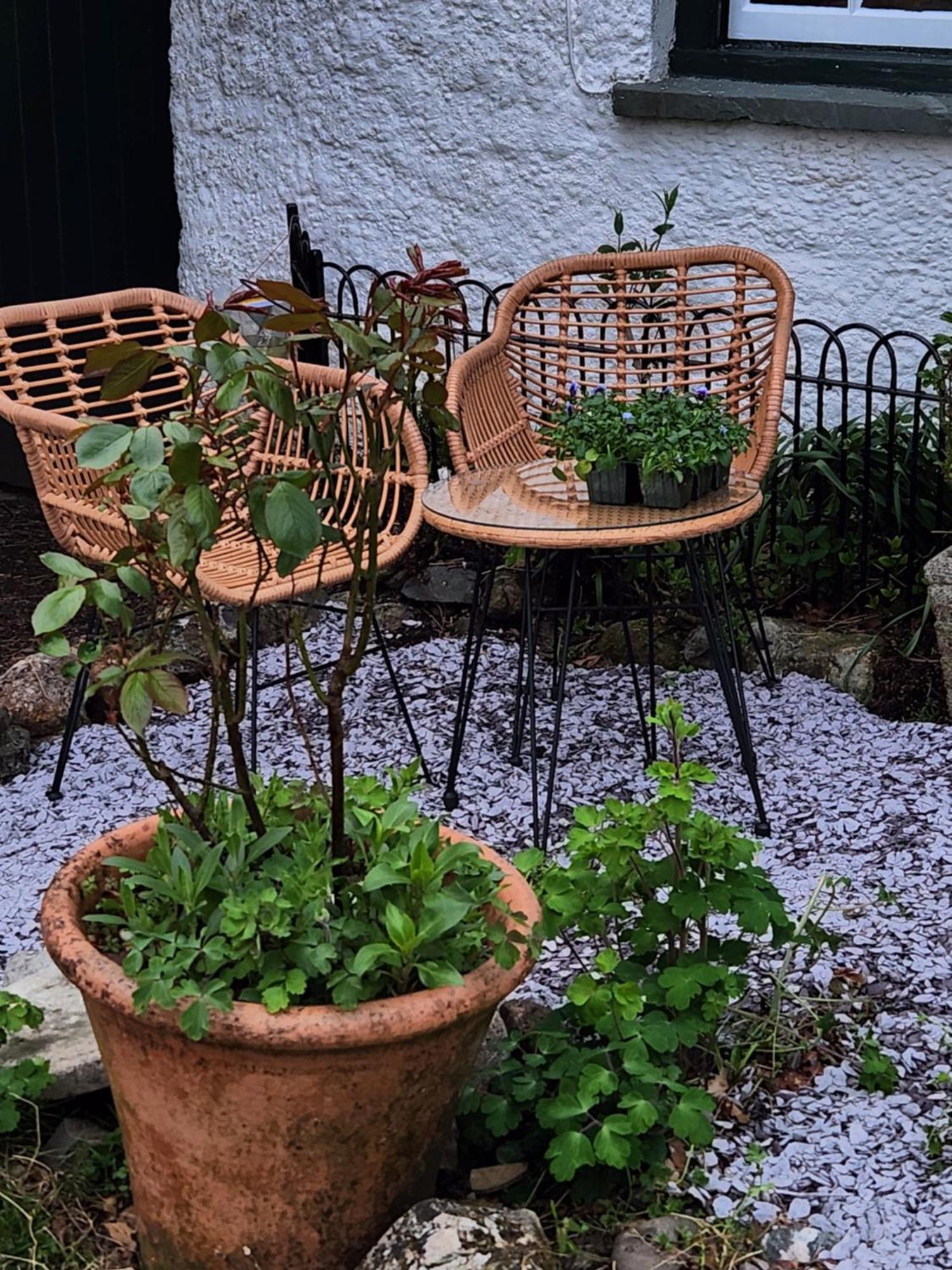 Blea Tarn Farmhouse B&B 앰블사이드 외부 사진