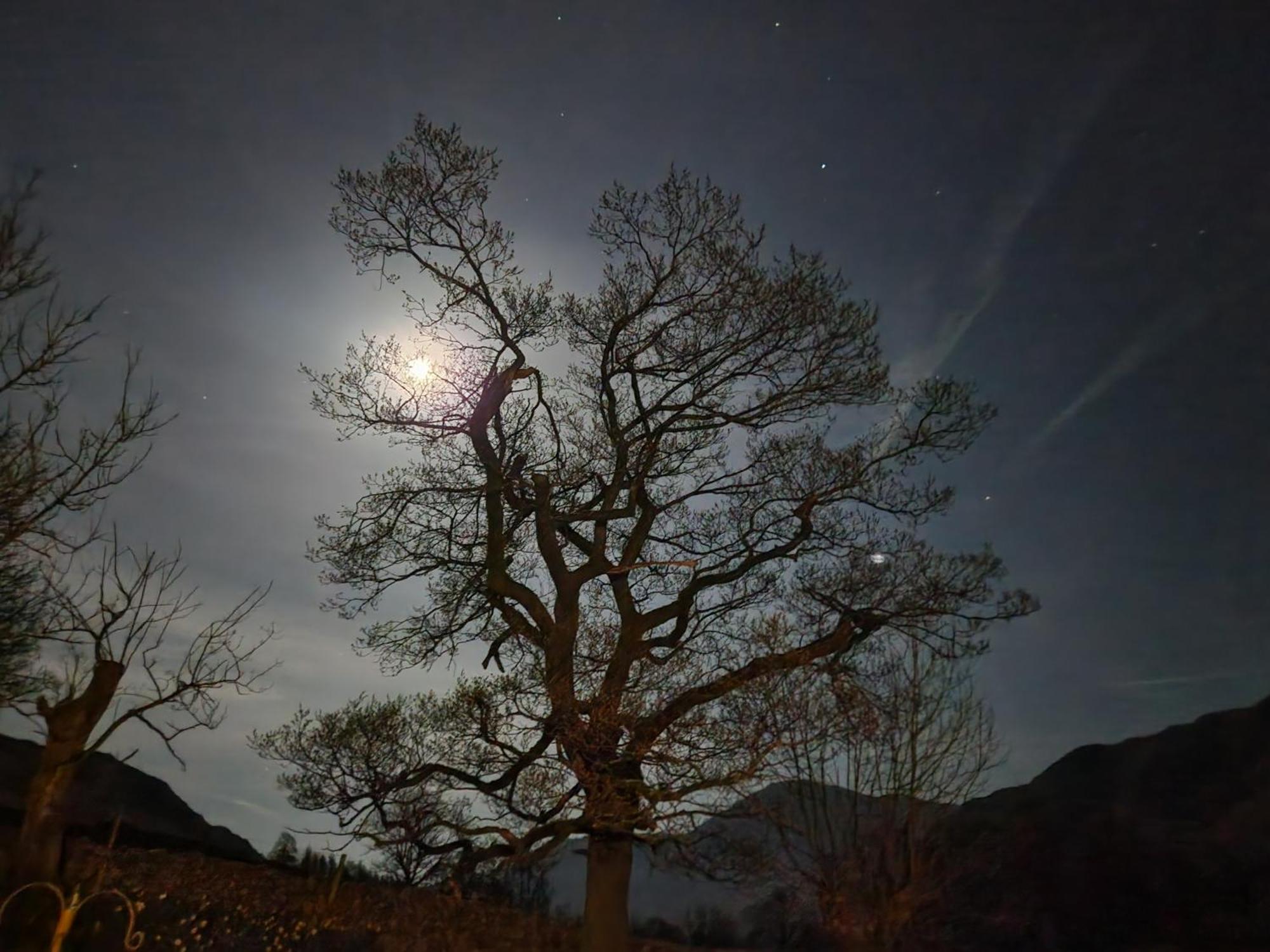 Blea Tarn Farmhouse B&B 앰블사이드 외부 사진