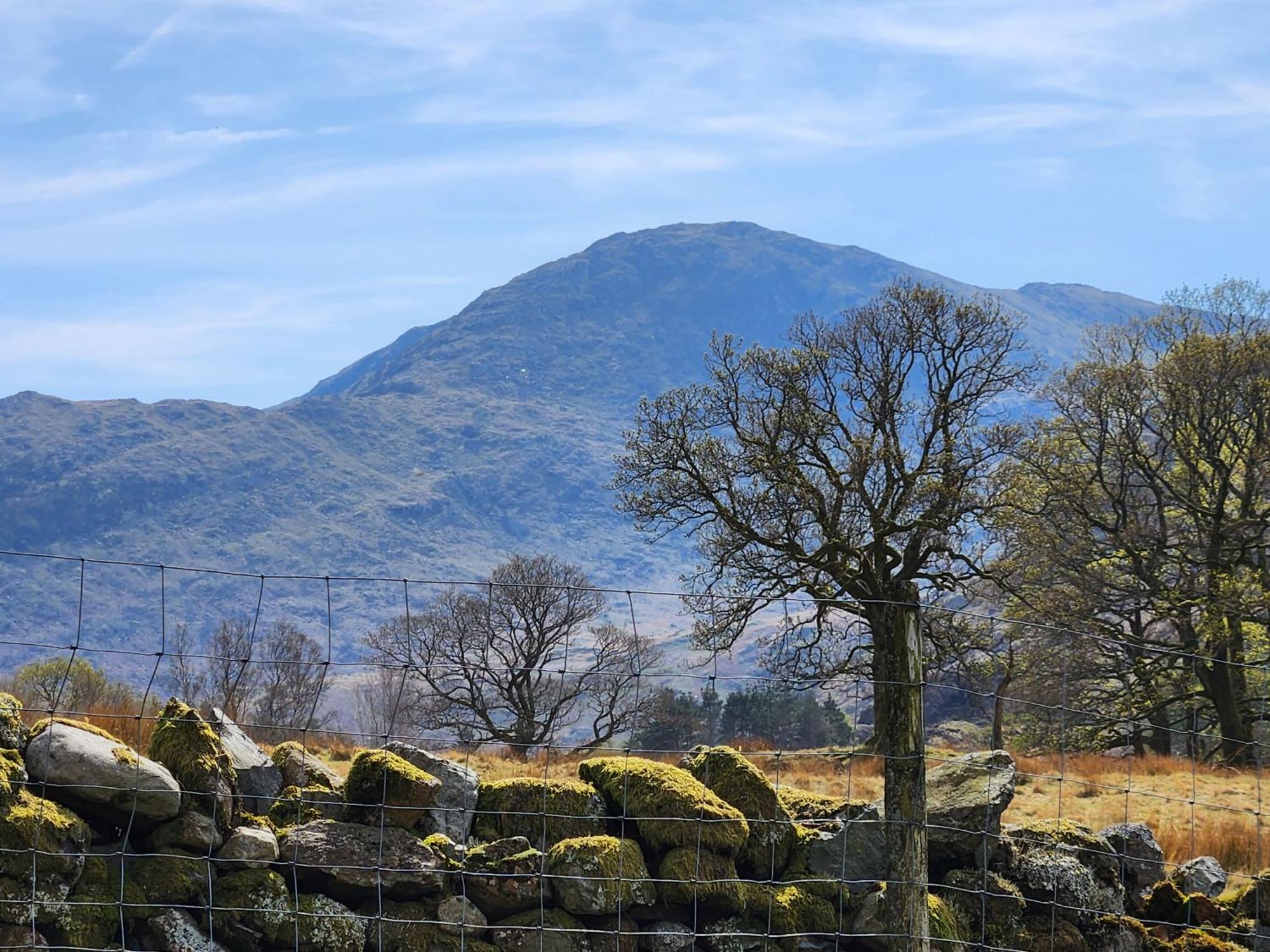 Blea Tarn Farmhouse B&B 앰블사이드 외부 사진